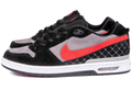 Nike SB Paul Rodriguez Zoom Air Low